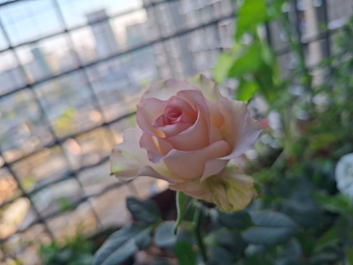 WhatsApp Image 2026-02-26 at 20.32.21 (1).jpeg