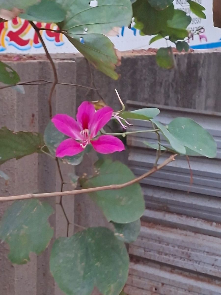 WhatsApp Image 2026-03-02 at 16.42.44.jpeg