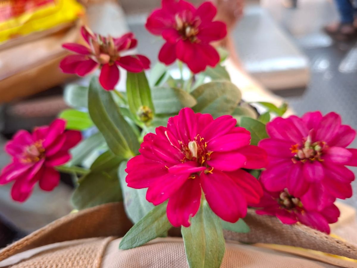 WhatsApp Image 2026-03-02 at 16.50.47.jpeg