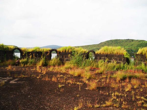 100_1766.jpg