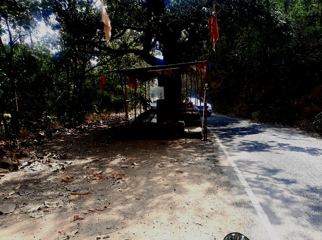 Screenshot_20260124_160929_Gallery.jpg