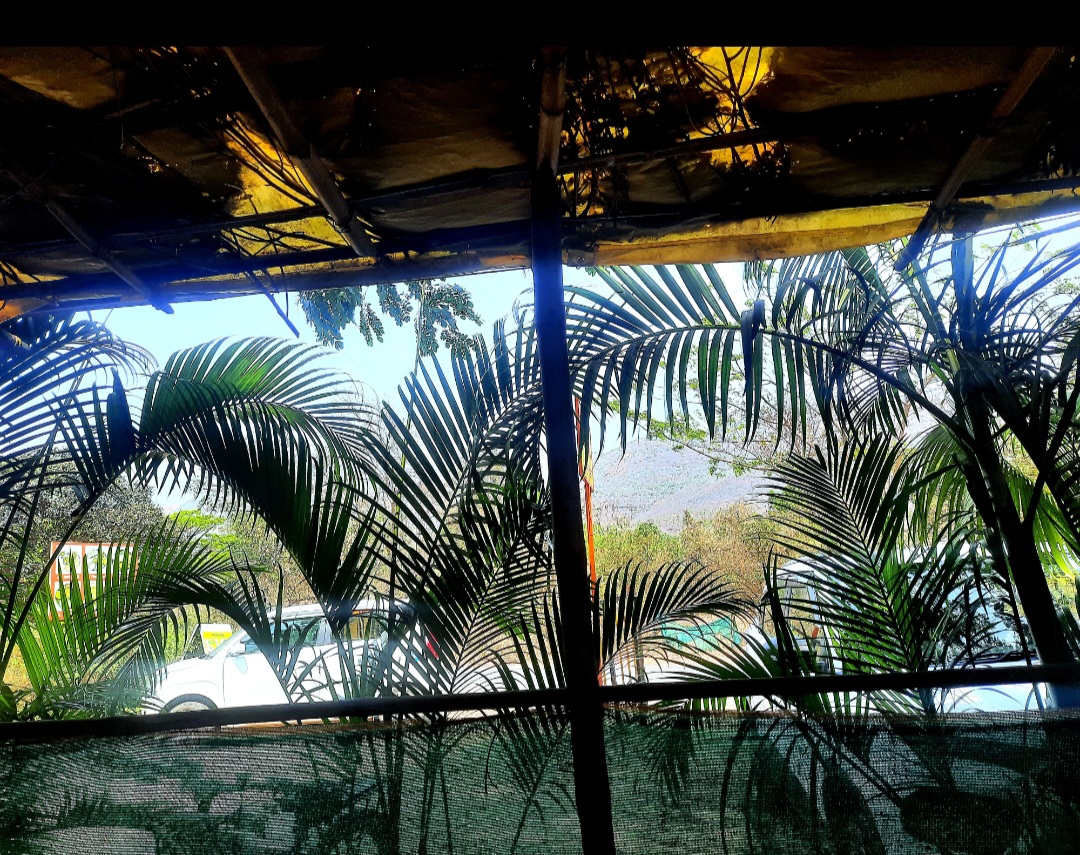 Screenshot_20260316_064718_Gallery.jpg