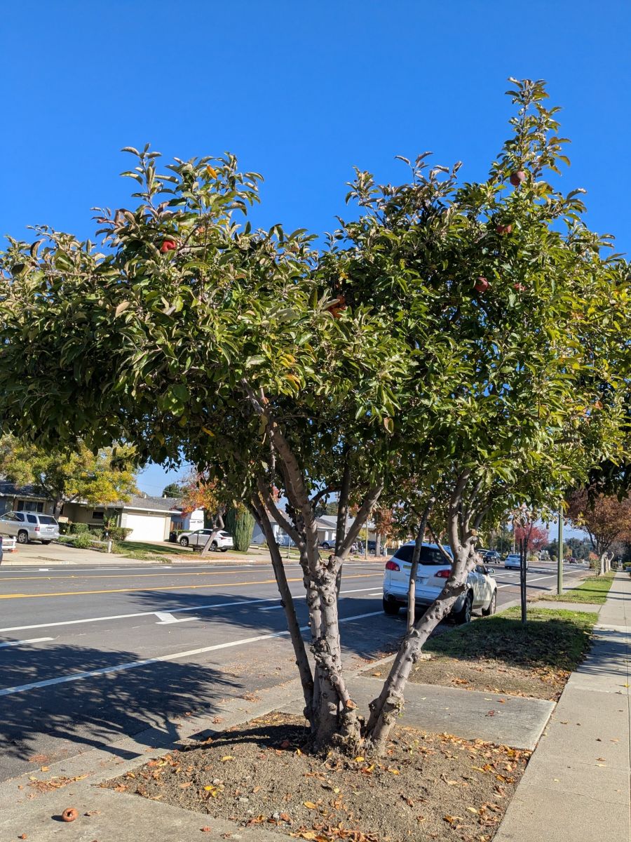 PXL_20251126_200416760.MP (1).jpg