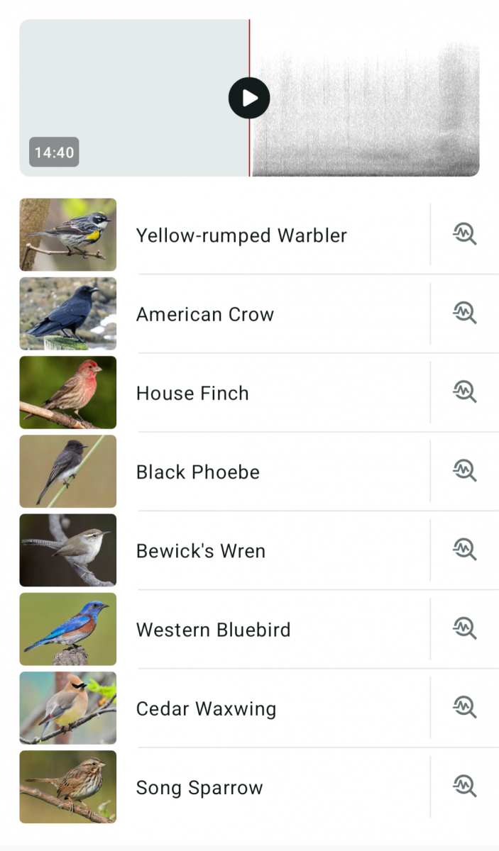 Screenshot_20251202-191737.png