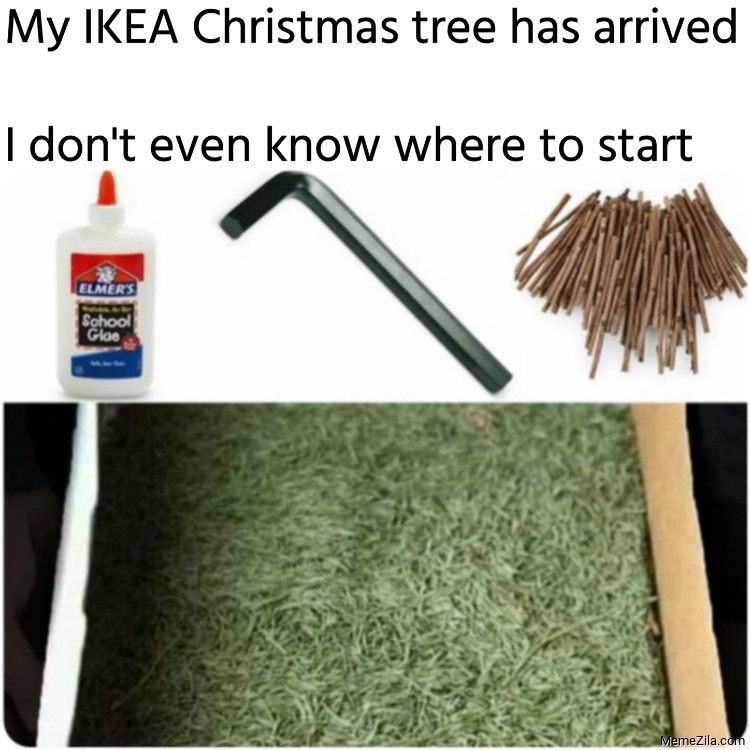 My-IKEA-Christmas-tree-has-arrived-I-dont-even-know-where-to-start-meme-8600.png