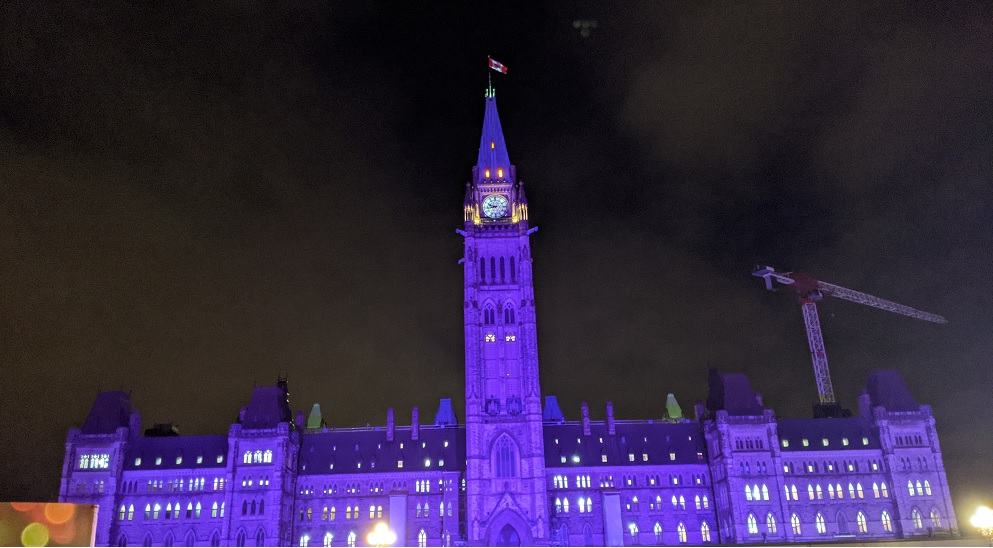 purple-parliament.jpg