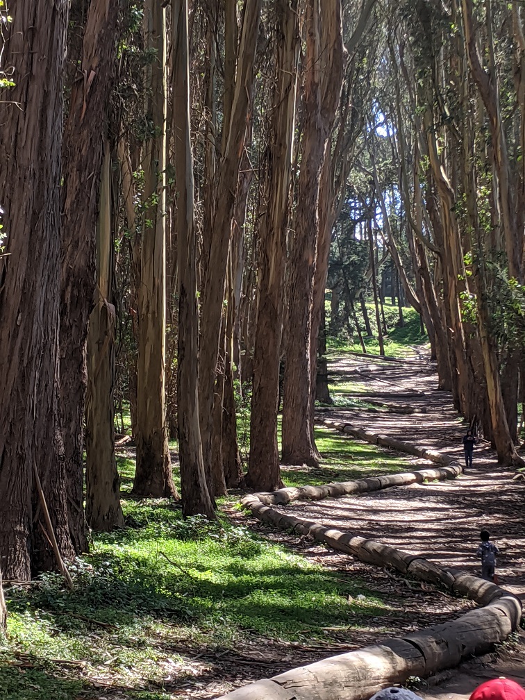 woodline-1.jpg
