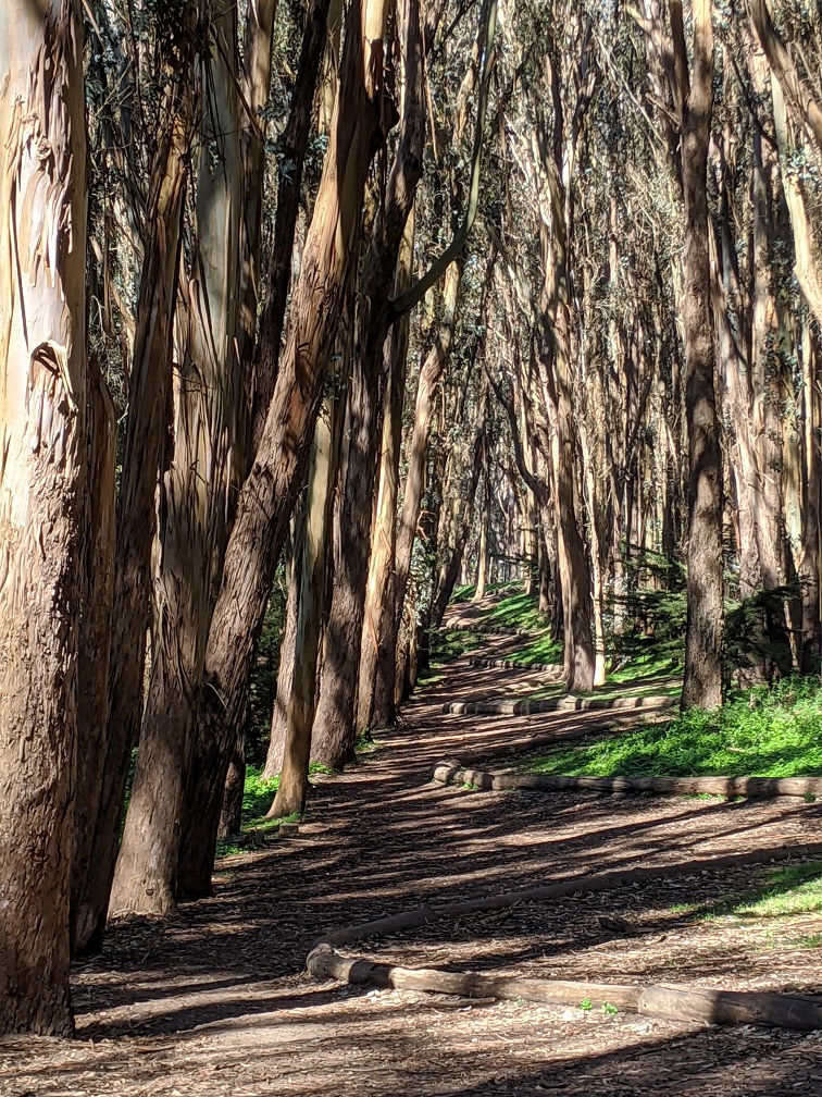 woodline-2.jpg