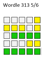 wordle-313.png
