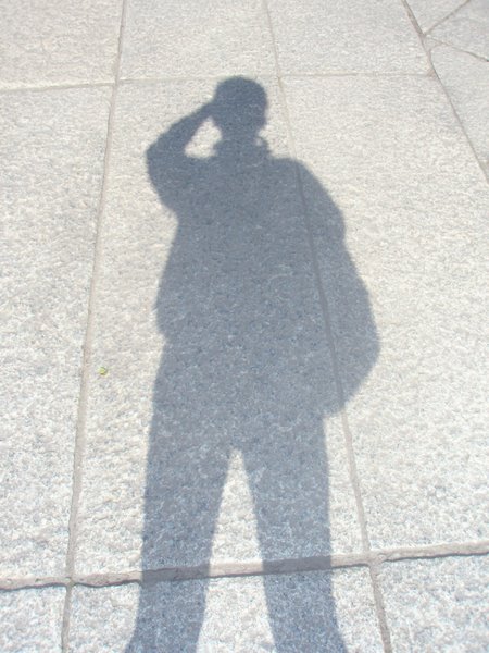 tall dark handsome.jpg