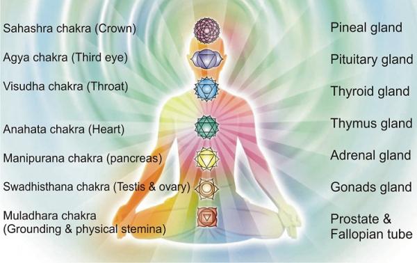 sapta chakra.jpg