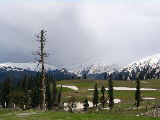 gulmarg