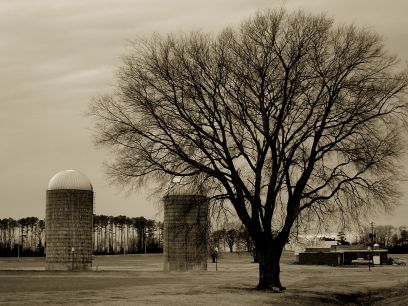 Gray and bleak