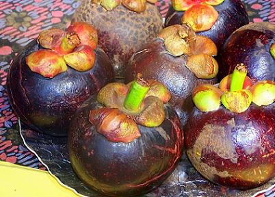 mangosteen