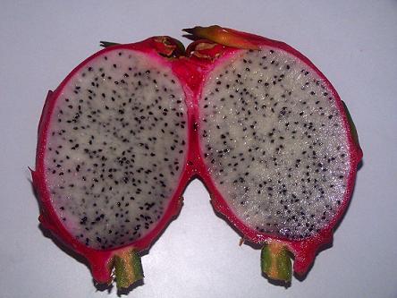 Dragon fruit cut