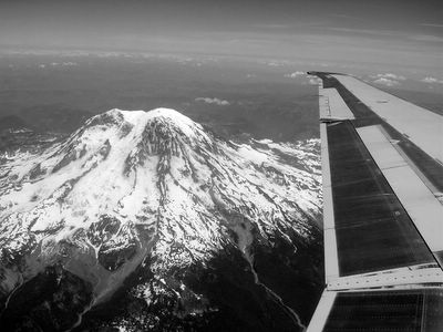 Rainier vista