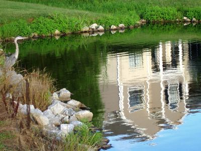 Reflection