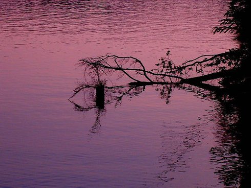 Tennessee river