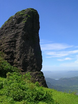 Duke's nose