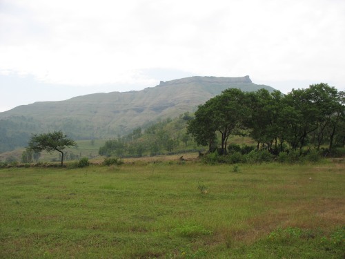 pAyathyAwarun rohiDA