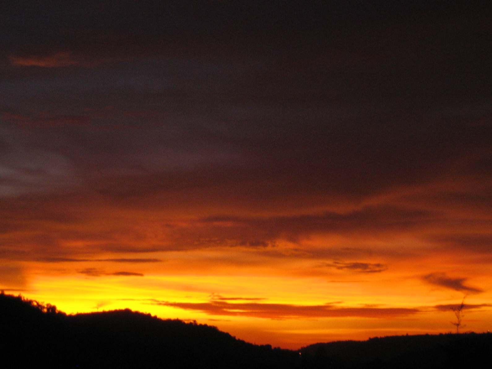 Sunset pic taken from my bldg terrace in Goa with Canon IXUS 40 cam