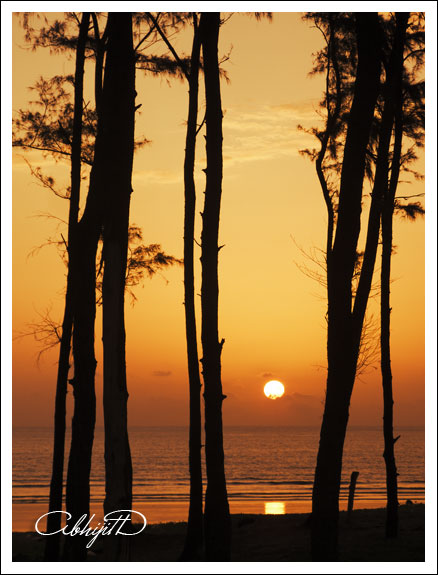 sunset