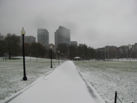 Snowy way of Boston Commons garden...